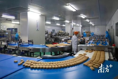 東莞市政府發(fā)布2022年一號文，大力推動數(shù)字經(jīng)濟(jì)高質(zhì)量發(fā)展與金融服務(wù)深度融合